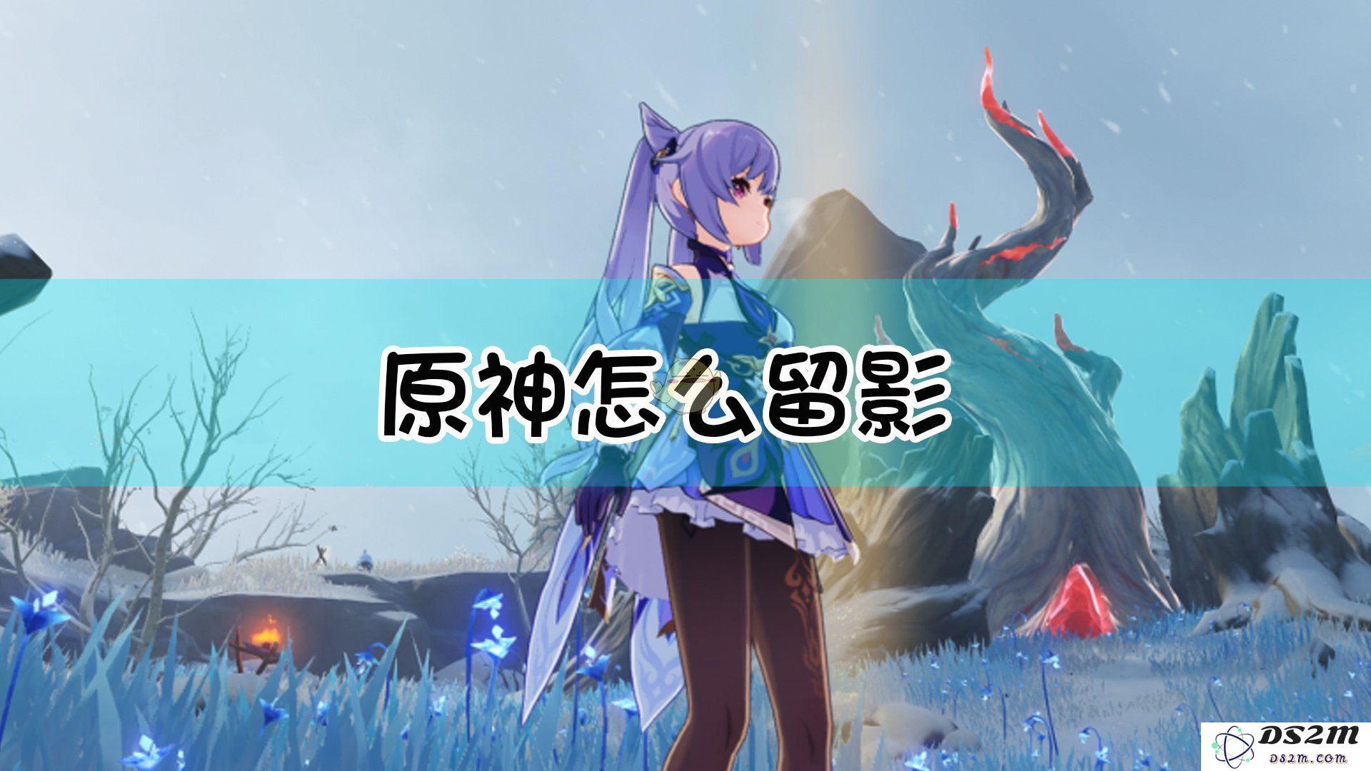 原神暂且留影