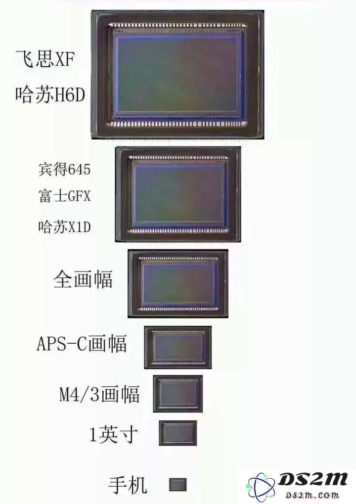 iPhone拍摄质量是否能与单反相机媲美？手机摄影是否有可能完全取代传统相机？