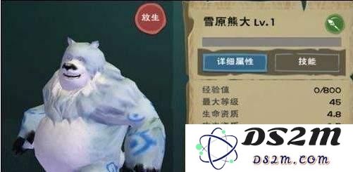 创造与魔法雪原熊怎么捕捉？雪原熊捕捉教程