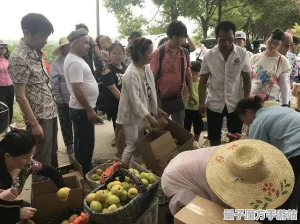 2025正式发售日揭晓»农场小镇游戏丨独家内容深度解析与开发者访谈