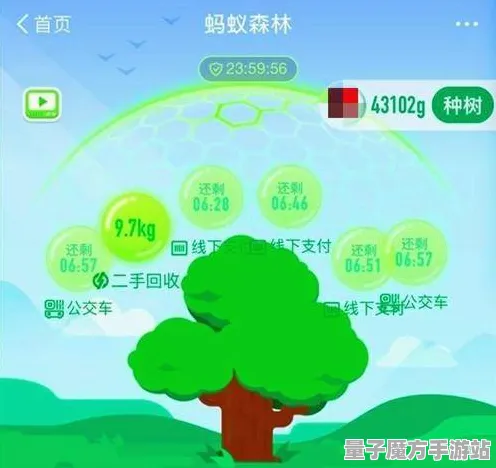 2025最新动态»蚂蚁森林触觉反馈优化，硬件兼容报告速看！