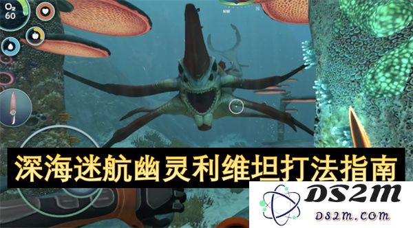 深海迷航幽灵利维坦的战斗策略与技巧详解指南