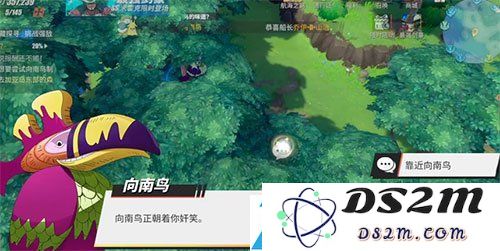 航海王热血航线向南鸟的味道任务攻略