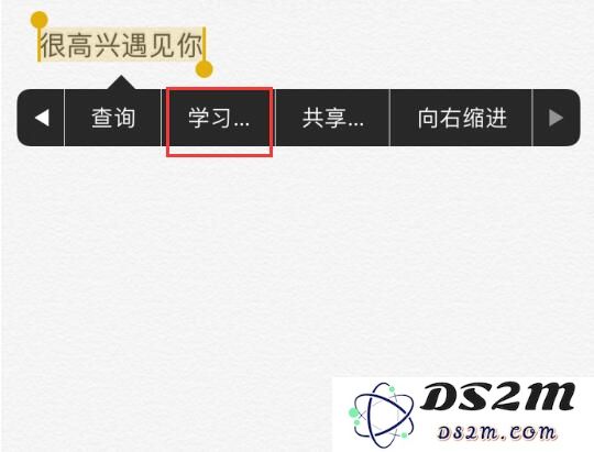 iPhone 选择文本时出现的“学习”选项有什么用？