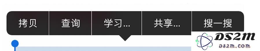 使用 iPhone 选择文本时显示的“学习”选项其背后的功能和用途是什么？