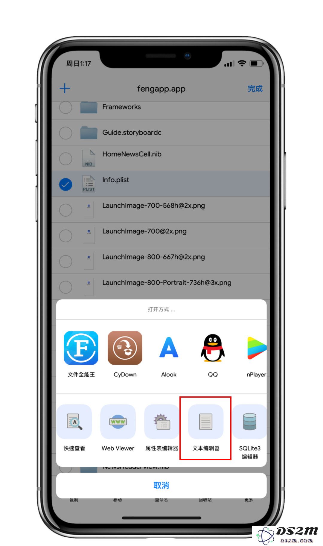 越狱后如何在 iPhone 上多开软件？