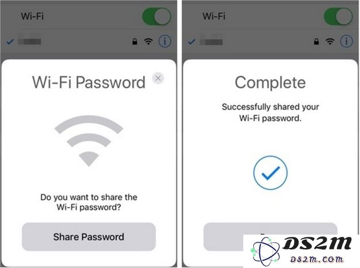 如何在 iPhone 上查询已连接 WiFi 网络的密码信息？