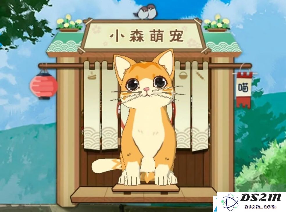 在小森生活中如何有效获取火鸡券的详细攻略与方法分析