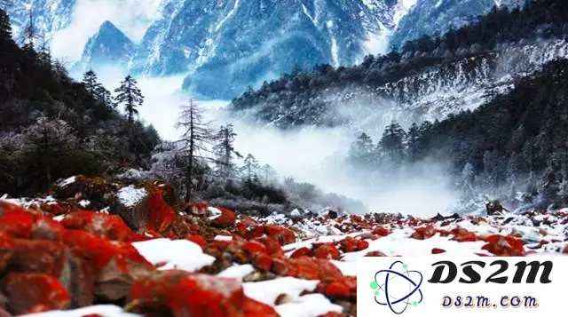 原神雪山的红石头没了怎么办