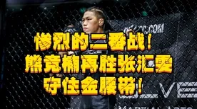 激战一触即发逆袭绝地反击