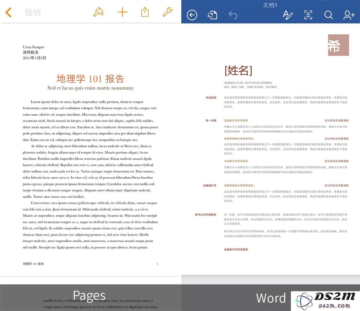 在 iPhone 或 iPad 上使用 Word 和 Pages，哪一个软件更符合用户需求和使用习惯？