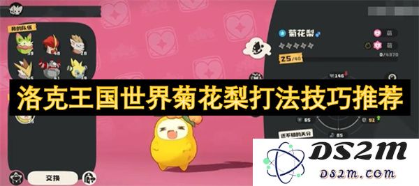 洛克王国世界菊花梨高效击败攻略与战斗技巧全面推荐