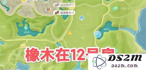 心动小镇5.9版本溜溜橡木与无瑕萤石具体位置详细解析