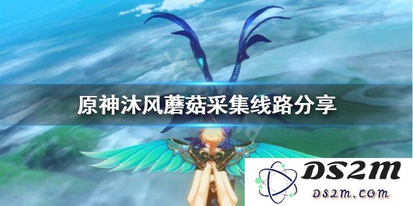 原神哪里有沐风蘑菇
