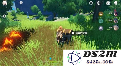 原神蒲公英子有多少
