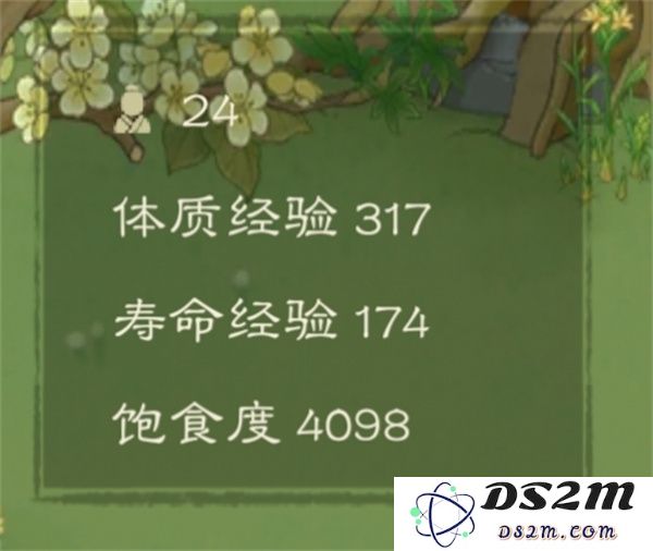 桃源记2最新体质提升技巧与攻略的全面分享