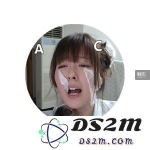 茶喵