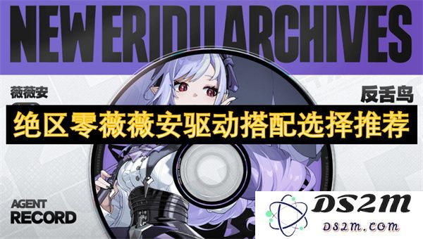 绝区零薇薇安驱动使用技巧与搭配方案推荐分析
