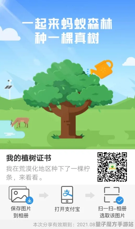 2025发售日确认»蚂蚁森林丨预购特典曝光，开发者专访