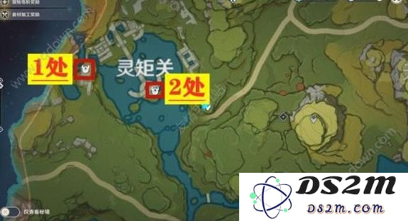原神灵矩关的珍贵宝藏：如何找到金色大树隐藏的秘密和财富
