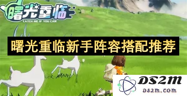 新手玩家阵容搭配建议：重新迎接曙光的最佳组合推荐