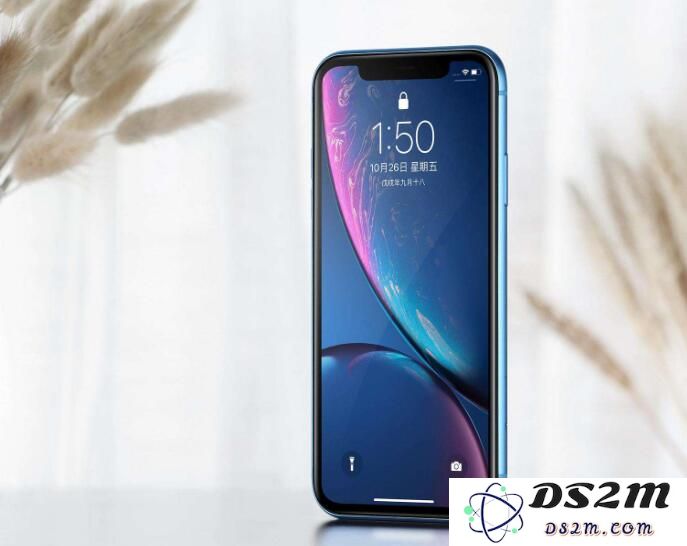如何避免在 iPhone XR 下载应用程序时每次都按电源键进行确认？