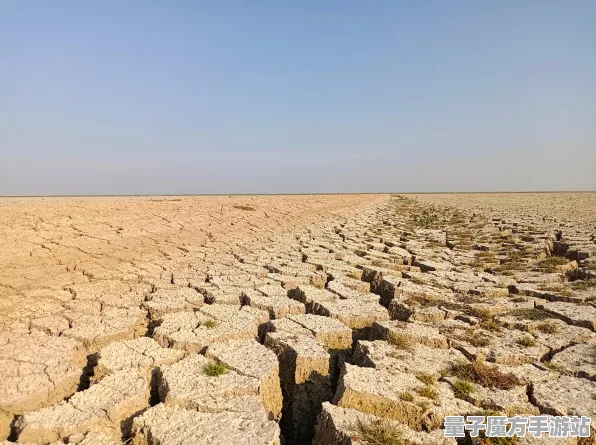 2025最新消息»农场小镇跨平台联机全新体验，开发者专访精彩速递！