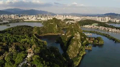 2025年正式发售日期确认！独家揭秘»蚂蚁森林的新内容以及背后鲜为人知的内幕信息