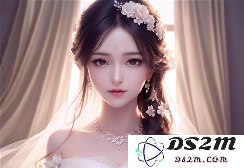 1688成人用品：未来汽车市场的战略布局与机遇
