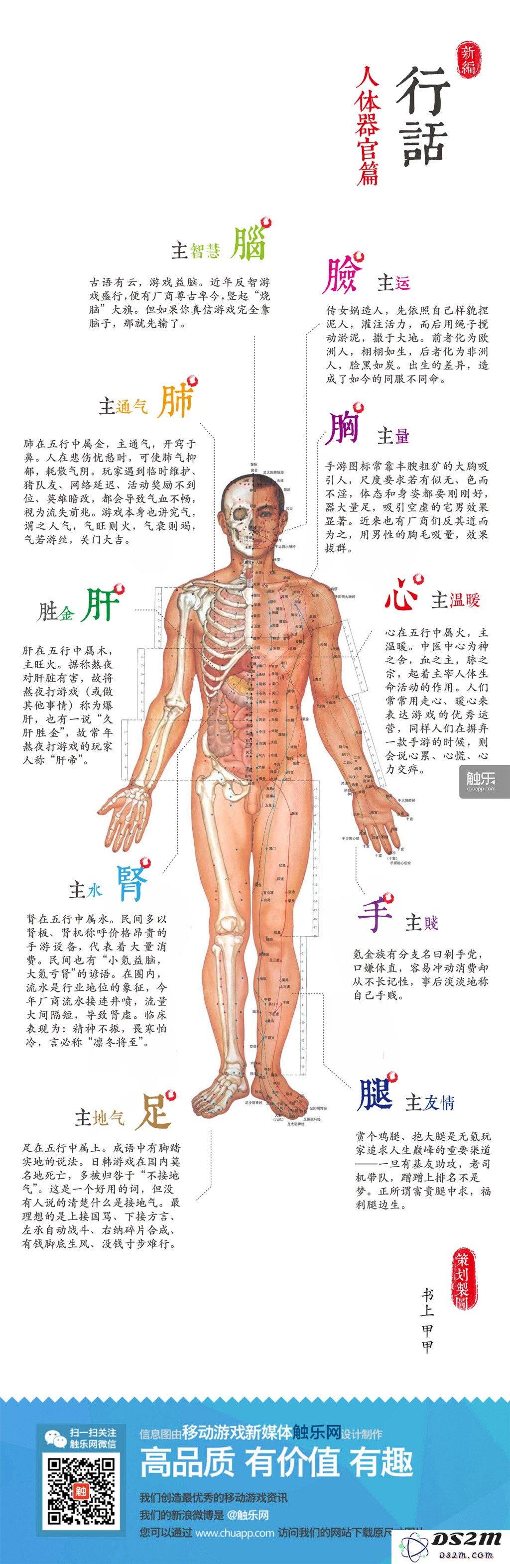 新编手游行话之漫游人体世界