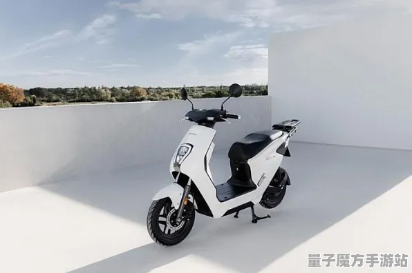 2025年度更新大揭秘：羊了个羊全新角色解析与玩家体验实测结果一览！