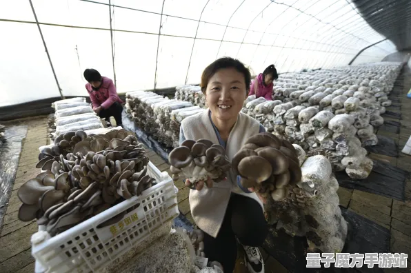 2025年农场小镇全新动态揭秘，最新实测数据曝光，快来了解独家内容！