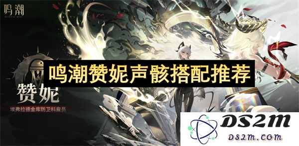 鸣潮赞妮声骸的最佳搭配推荐，提升你的游戏体验与战斗力