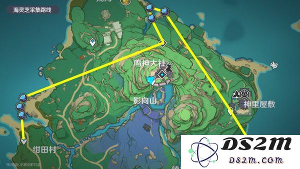 原神梦见月瑞希突破材料收集攻略 梦见月瑞希突破材料在哪里[多图]图片13