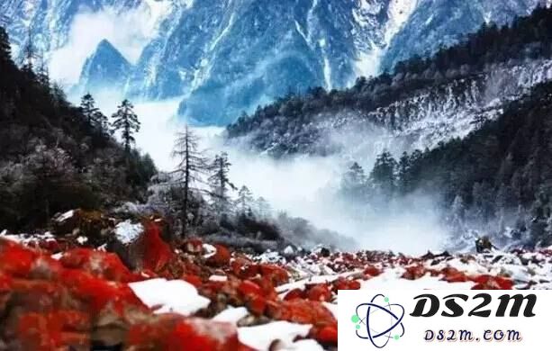 原神雪山好大好大的门在哪里