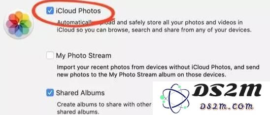 如何将 iPhone XR 中的照片导出到 Mac
