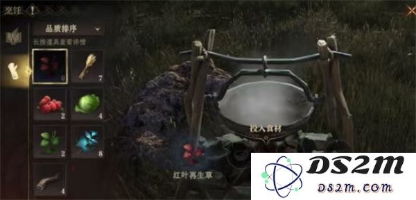 龙之息神秘寂静宫廷龙神赐福派的制作详细攻略与技巧分享