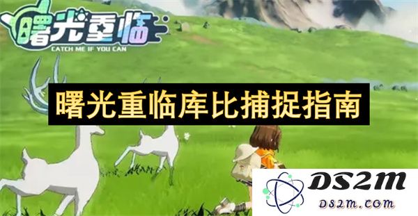 重拾曙光时刻：库比捕捉技巧与实用指南全解析