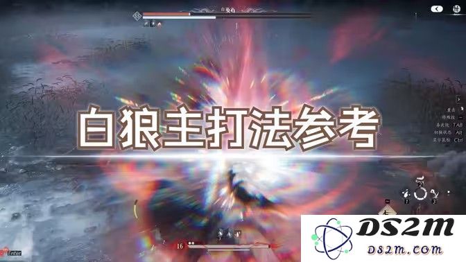 燕云十六声白狼主的战斗策略分享 白狼主打法详细技巧解析与图解