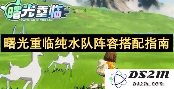 纯水队阵容搭配策略指南：重新迎来曙光的最佳组合方案