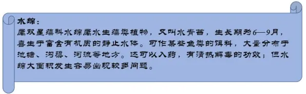 2025最新动态»脑洞大师实时全局光照，深度技术解析速看！