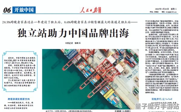 2025版本更新深入探讨»羊了个羊地图扩展评测与开发者访谈揭秘