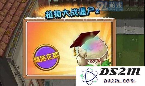 植物大战僵尸2花菜兄弟 傻傻分不清楚