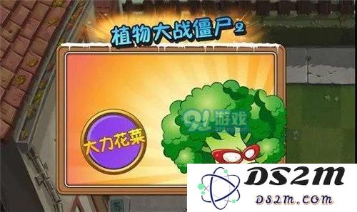 植物大战僵尸2花菜兄弟 傻傻分不清楚