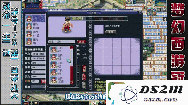 梦幻西游无双版狂豹属性详解与分析-紫品狂豹购买价值探讨