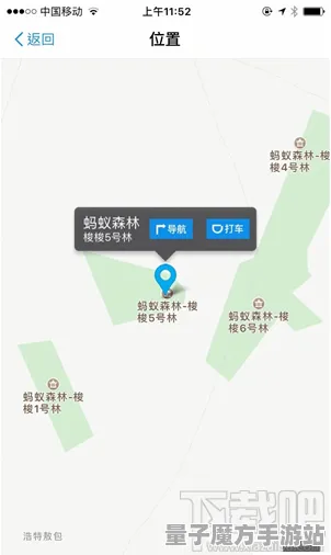 《蚂蚁森林》2025版本更新！地图扩展评测独家内幕消息