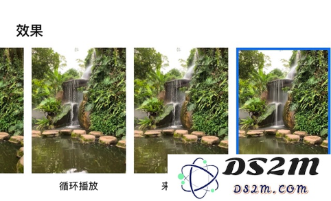 专业摄影师分享：苹果 iPhone XR 的拍摄小技巧