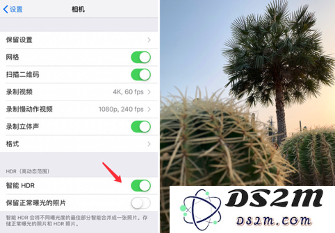 专业摄影师分享：苹果 iPhone XR 的拍摄小技巧