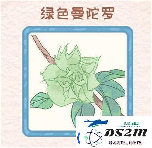 花店物语中如何有效获取花种：详细的花种获取攻略与技巧分享