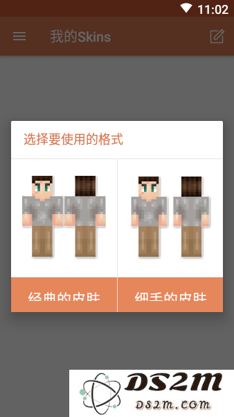 skinseed橙色版下载安装